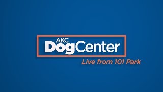 DogCenter: Live From 101 Park Ave | Mach 15, 2019