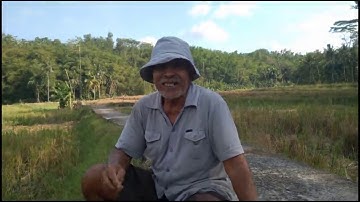 cerita mistis suara gamelan di tengah malam di batu kelir
