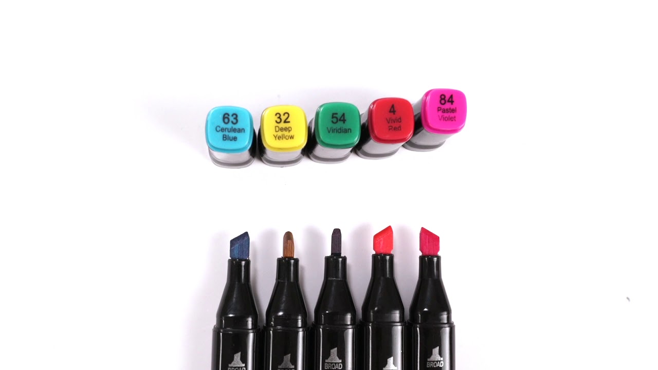 Thatcolor 80 Colors Alcohol Brush Markers with Storage Zipper Bag