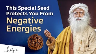 This Special Seed Protects You From Negative Energies