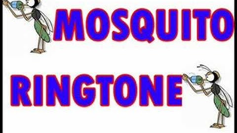 Mosquito Ringtone- The One Teacher