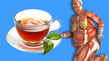 Was bewirkt 2 Tasse grüner Tee am Tag?