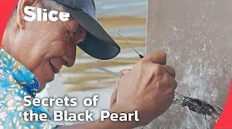 From Divers to Grafters: The Legacy Behind Tahiti’s Famous Black Pearl | SLICE | FULL DOCUMENTARY
