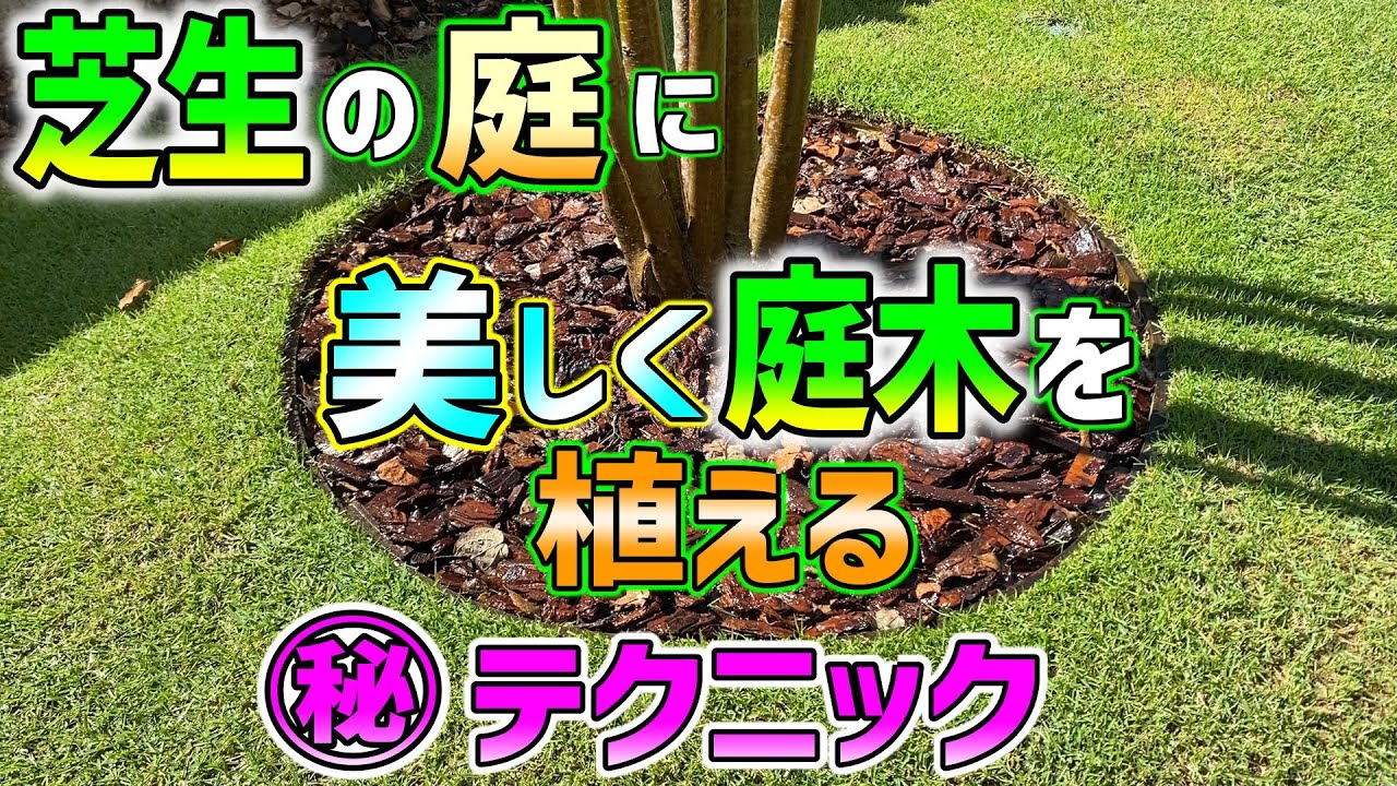 芝生の庭に美しく植木を植える方法をご紹介します 穴の掘り方 植木の植え方 植木周りにサークル状の木枠を埋め込む方法 デコレーションバーグの活用事例などをご紹介します Youtube