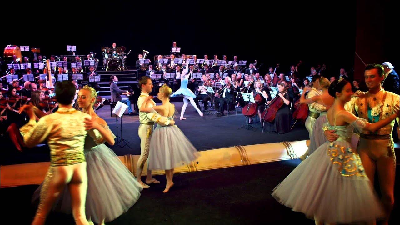 Shahkar Bineshpajooh Concert Los Angeles YouTube