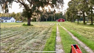 Cutting hay with a RK37 and New Holland 451 sickle mower