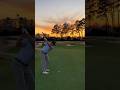 Just some pure shots #golf #sunset #golfing #wedges