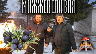 Настойка можжевеловая Алтайский винокур