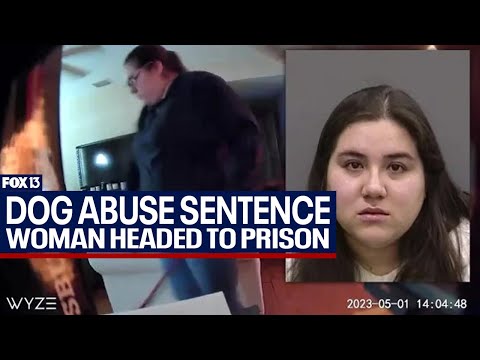 Woman gets 5 years in prison for abusing dog