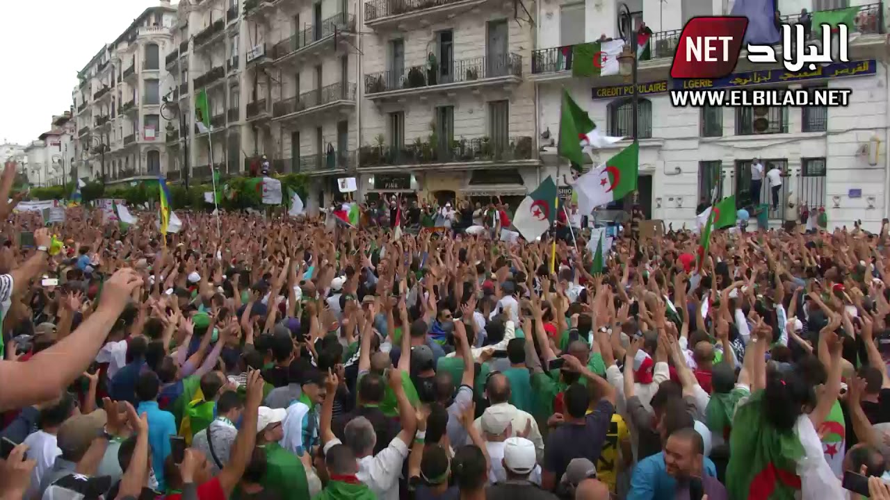 الجزائر نيجيريا