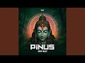 Shiva Valley by PiNUS 🎶