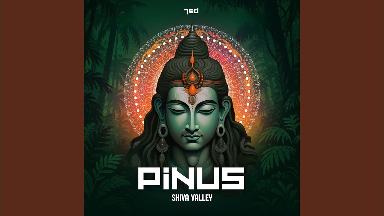 Shiva Valley