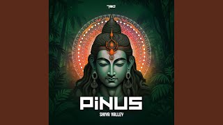 Shiva Valley - PiNUS