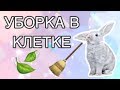 УБОРКА В КЛЕТКЕ У КРОЛИКА/КАК Я УБИРАЮСЬ