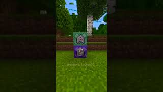 gravity gun in Minecraft #shorts #mincraft #mincraftnoob #minecraftbuildhacks #commands
