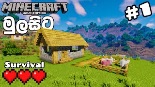 Minecraft Survival Pc Gameplay 1.19 in Sinhala With Shaders for beginners 2023 #1