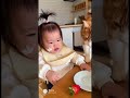 ケーキ🍰を食べる赤ちゃんと猫 #赤ちゃん #猫 #cute #butifyoucloseyoureyes #cat #funny