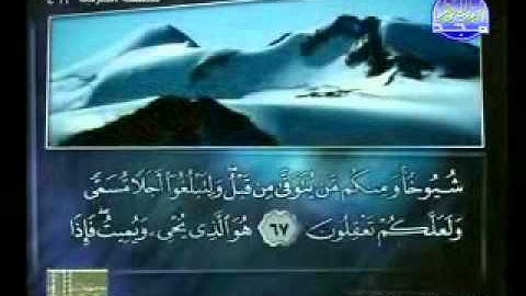 سورة غافر من 41الى اخرها الشيخ ماهر شخاشيرو