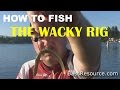 How to fish a wacky rig for bass  bass fishing