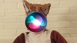 What Does The Fox Say, Fox Noise Vocals By Siri