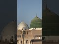 The Green Dome in Madinah is a sacred and peaceful symbol of the Prophet’s Mosque.🕌💚#madina #viral