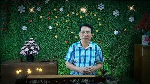 TIẾNG HÁT GIỮA RỪNG PẮC BÓ  -  ĐÀN BẦU