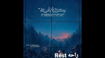 قرآن كريم بصوت عبد الرحمن مسعد | حالات واتس اب دينية - سورة مريم