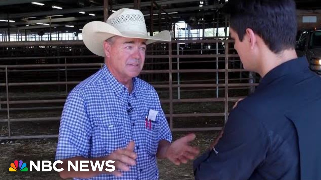 Trump’s beef imports face backlash from Texas cattle ranchers