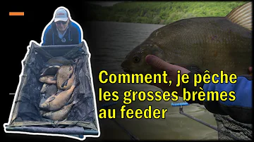 Comment attirer les grosses brèmes ?