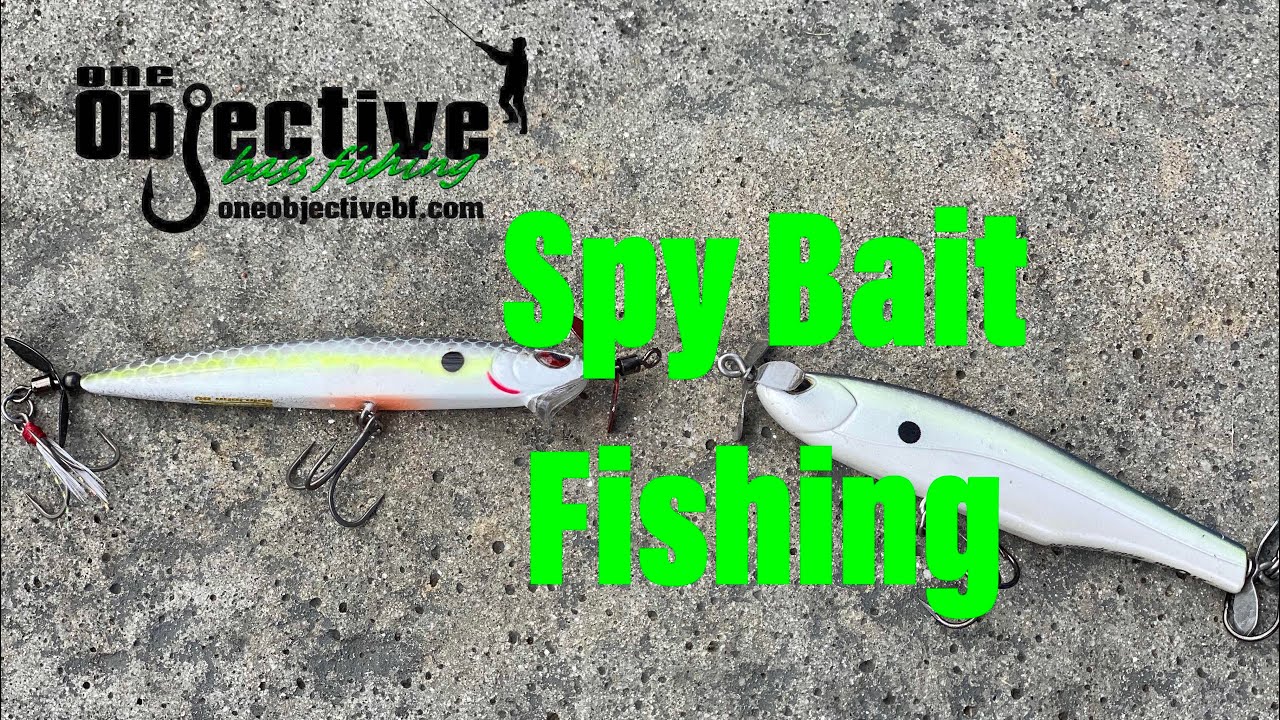 How To Fish A Spy Bait For Fall Bass YouTube
