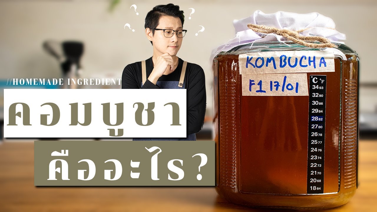 คอมบูชา คืออะไร ? เครื่องดื่มมหัศจรรย์ ดูแลสุขภาพ ระบบขับถ่าย แก้