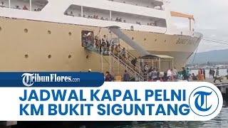 Jadwal Dan Harga Tiket Kapal Pelni Km Bukit Siguntang Maumerenunukan