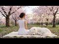 Cherry Blossom 🌸 Heavenly Piano Music for Prayer, Sleep, work &amp; Peace | 1 Hour