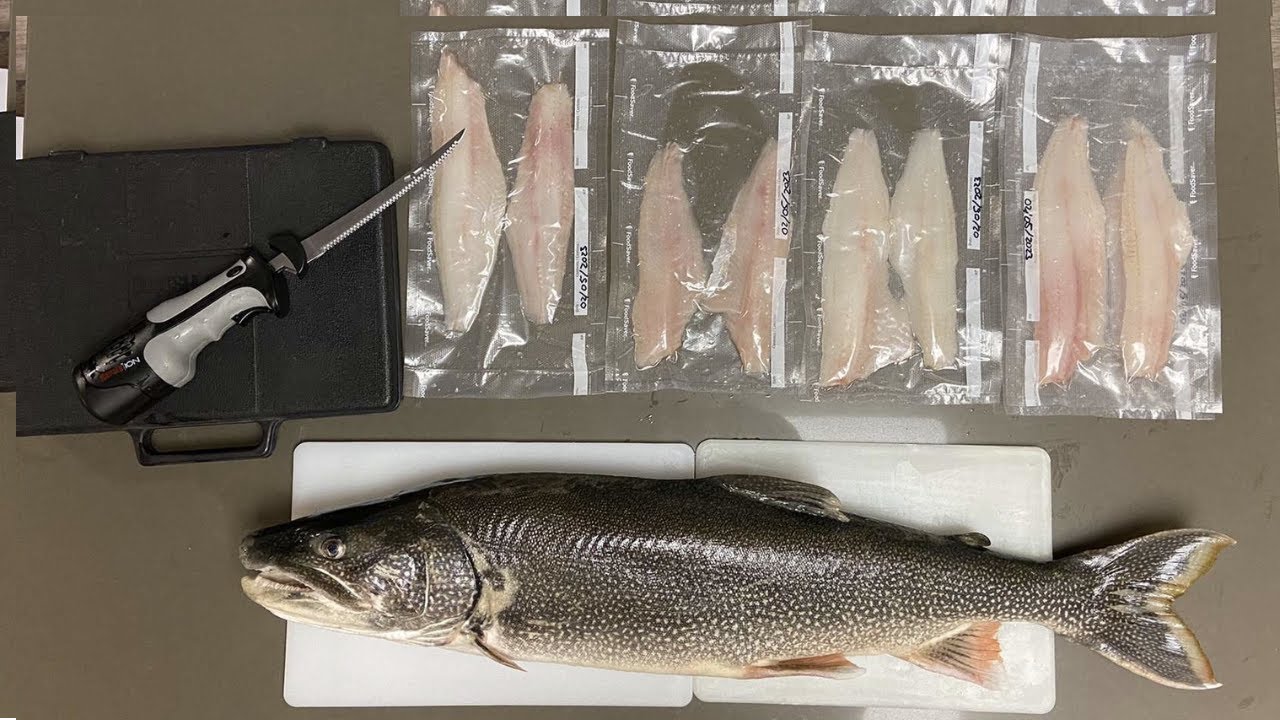 WALLEYE Catch Clean Cook DEEP FRIED Lake Trout Vs Walleye Recipes Walleye catch clean cook deep fried lake trout vs walleye recipes