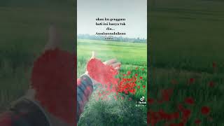 Assalamualaikum...cinta... #kitalindungkita# #kitalindungsemua# 😊