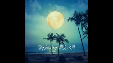 حالات واتس اب بصوت اسلام صبحي / تلاوة خاشعة / راحة نفسية ( وَتَوَكَّلْ عَلَى الْعَزِيزِ الرَّحِيمِ )