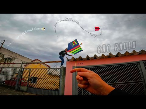 I PULLED THE GREEN LINE AND RAISED THE KITE 1 50 FROM THE BACK OF THE HOUSE AT THE WORLD CHAMPION 