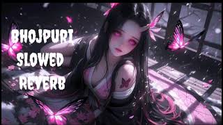 Lofi Song Hamra Raja Ji Ke Dilwa Tut Jaie Slowed Reverb Bhojpui Bive
