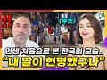 한국에 혼자 살고있는 딸이 찍은 영상을 보고 충격받은 이탈리아 부모님