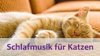 Schlafmusik für Katzen - Entspannende Musik für Katzen und Kätzchen - 2 Stunden. screenshot 3
