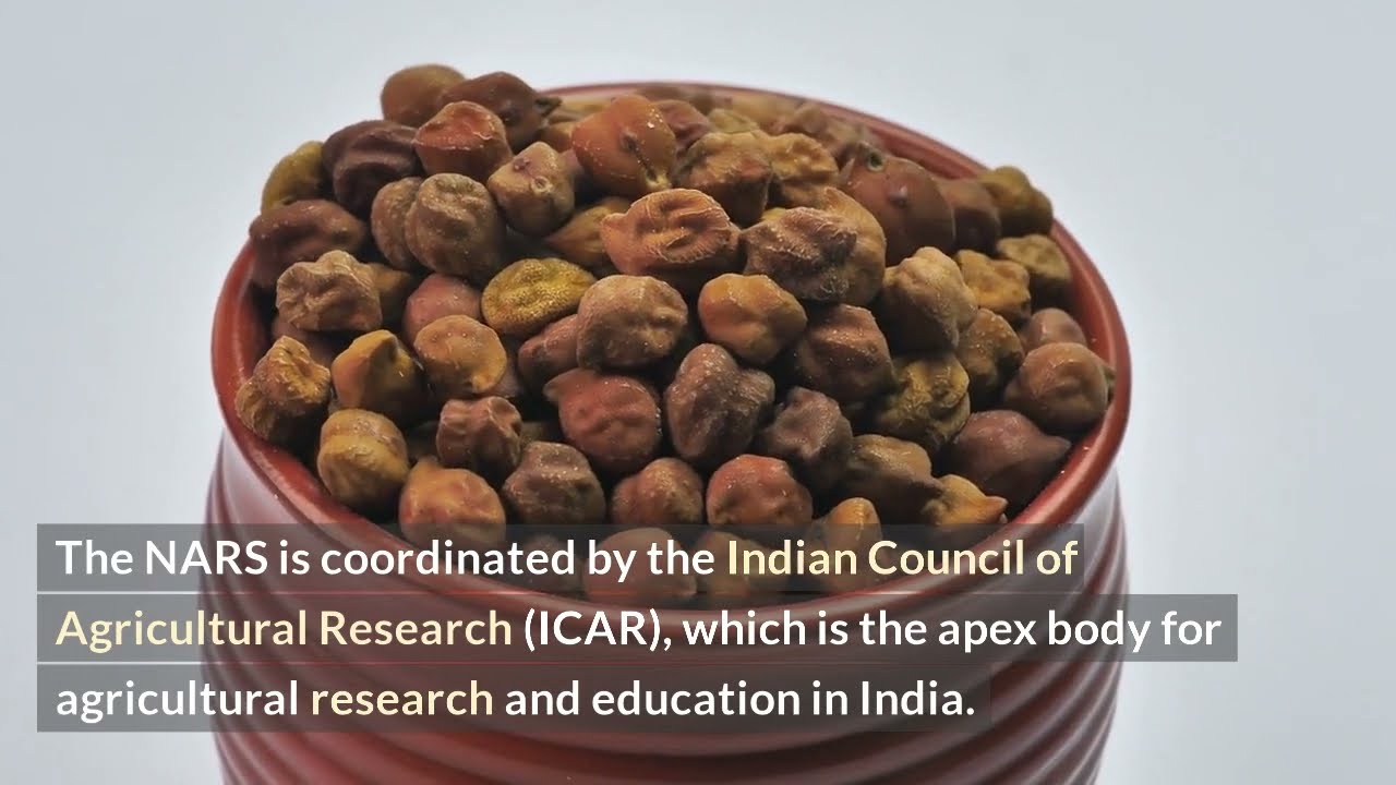 PGS 505 | NARS & GARS | All you need to know