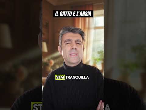 Il gatto e l’ansia