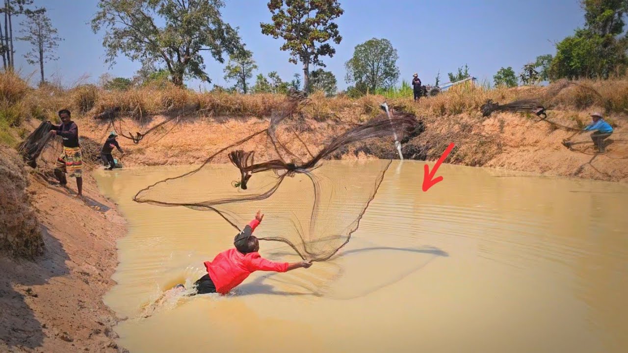 สูบน้ำตามล่าปลาช่อนใหญ่ใครจับได้เอาไปเลย งานนี้ไม่มีใครพลาดแน่ๆได้กันทุกคน