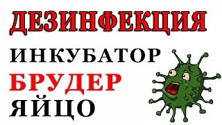 ДЕЗИНФЕКЦИЯ брудеров, инкубаторов и яйца