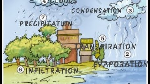 Class-7 Science Ch-16 Water : A Precious Resource || Part-2 ||