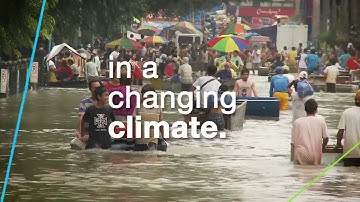 Regenerative Agriculture | The Future of Farming | Bayer