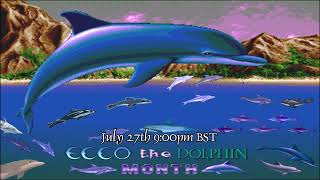 Project: Reverberation Reveal... W e l c o m e B a c k O l d F r i e n d 🐬 