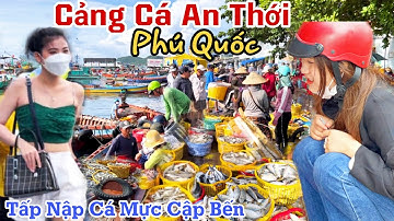 Quá Đẹp CẢNG CÁ AN THỚI LỚN NHẤT Phú Quốc KG - Tấp Nập Thuyền Ghe CÁ MỰC Cập Bến Liên Tục | KPVL