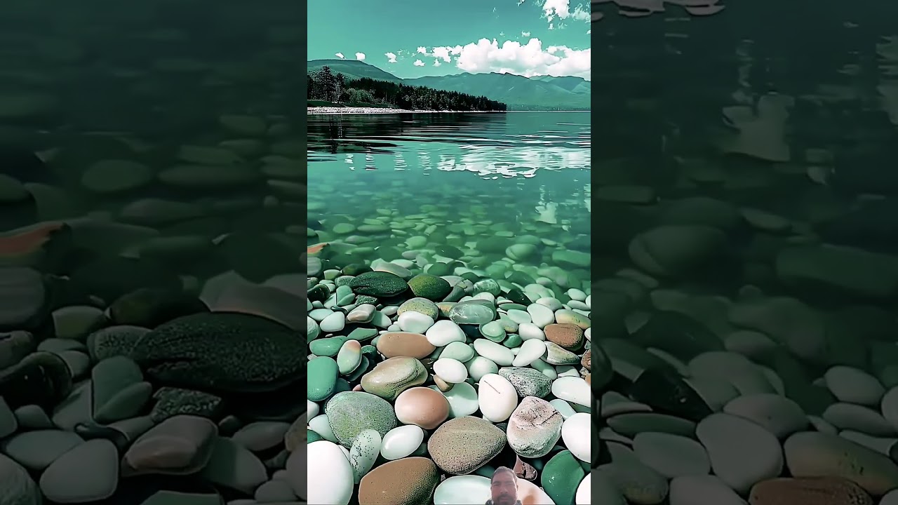 НОШИД❤️❤️❤️ 