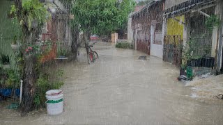 My Village Almost Flooded !! Because the Rain is Very Heavy || Suitable for a Sound Sleep